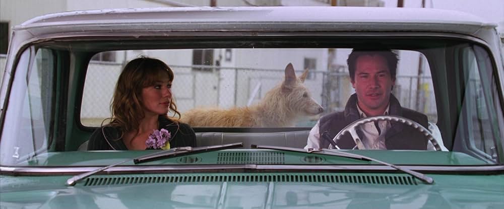 イルマーレの画像