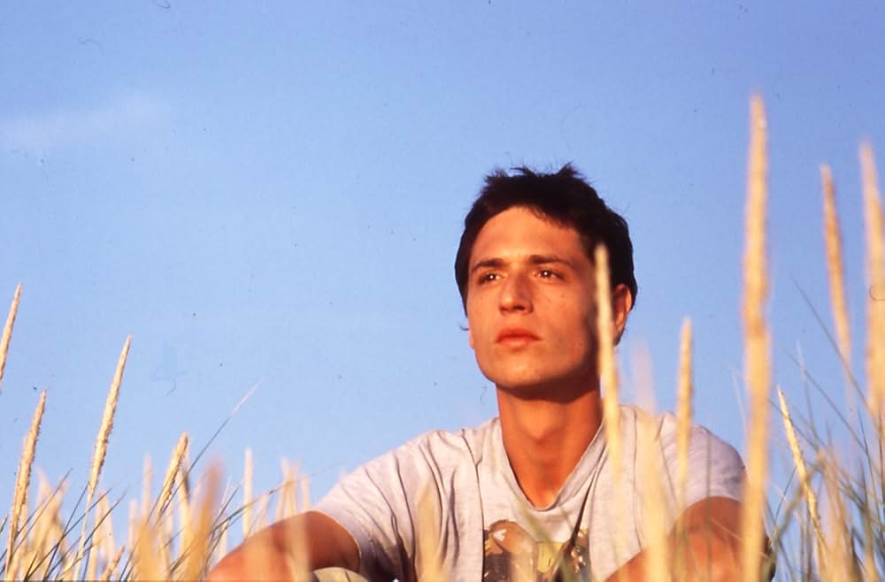 夏の終わりの画像