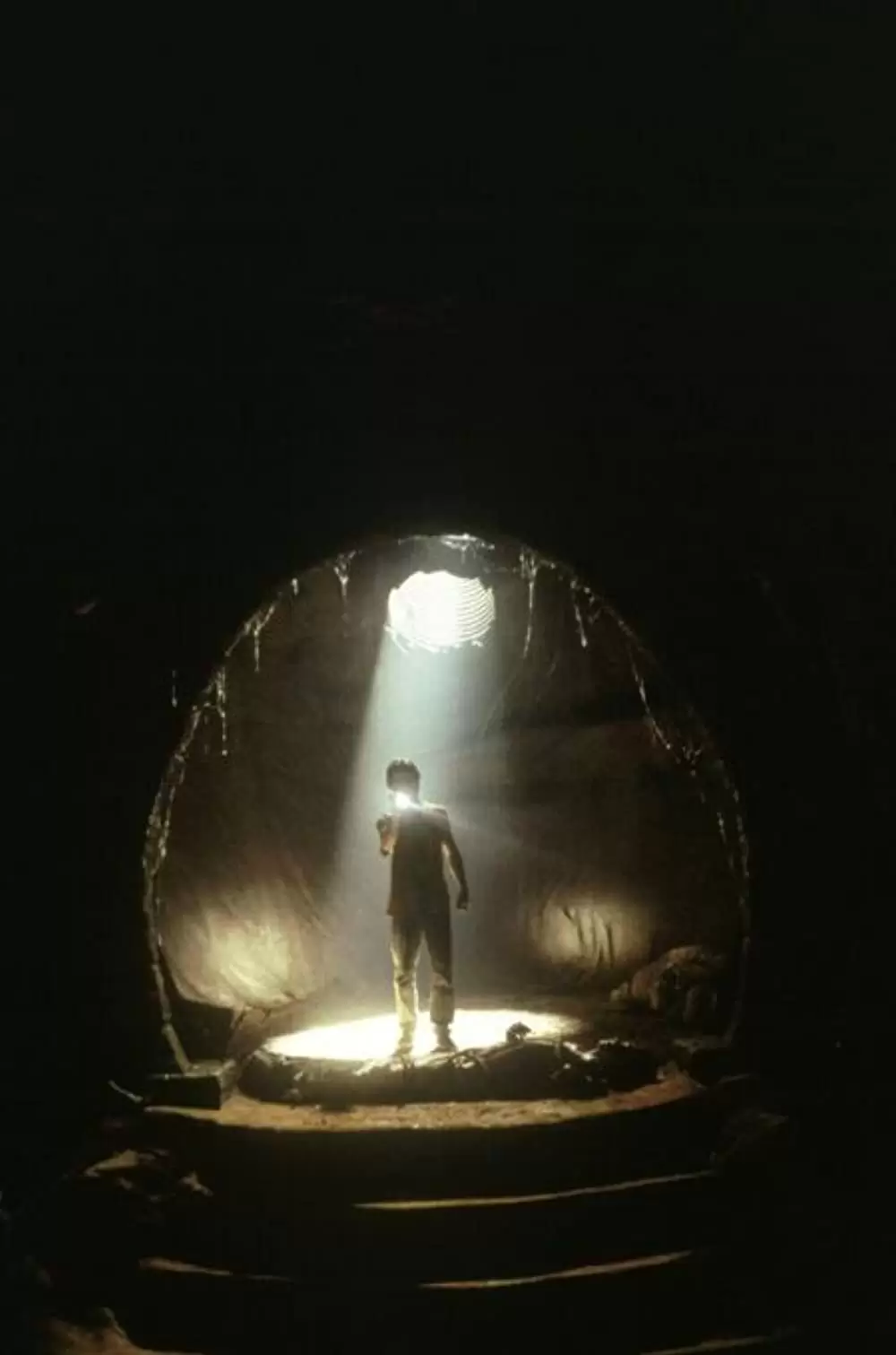 ジーパーズ・クリーパーズの画像