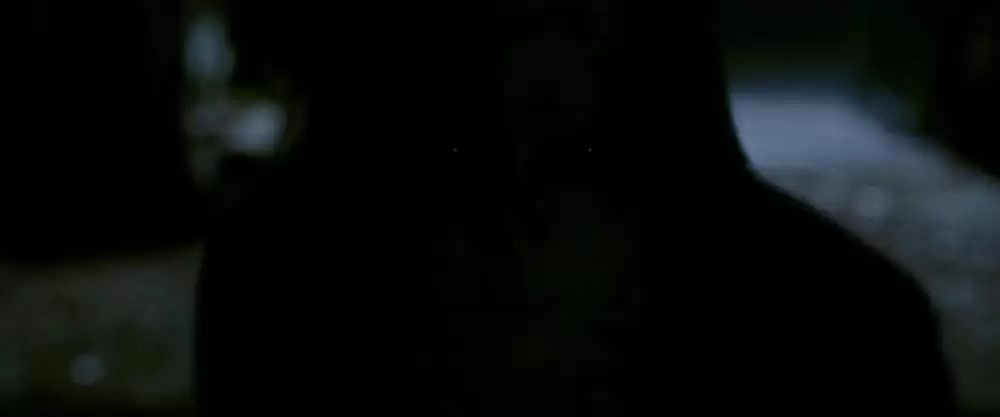 エミリー・ローズの画像