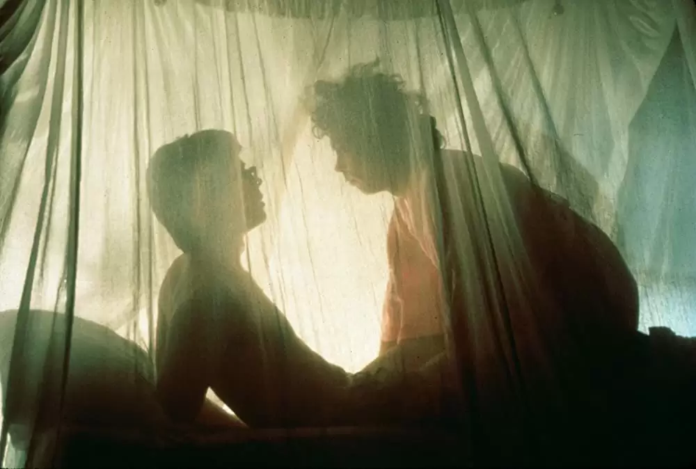 「ロッキー・ホラー・ショー」ティム・カリー & バリー・ボストウィックの画像