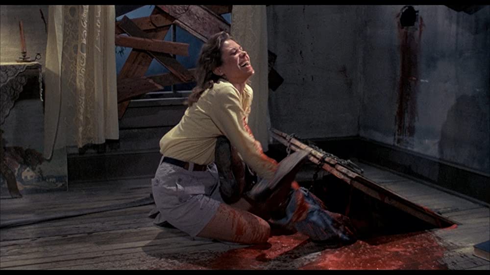 死霊のはらわた IIの画像