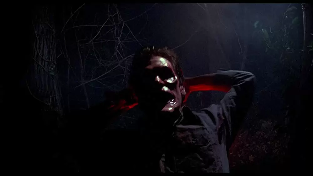 死霊のはらわた IIの画像