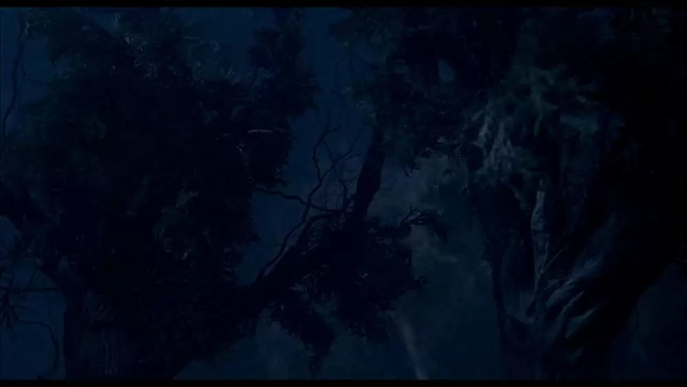 死霊のはらわた IIの画像