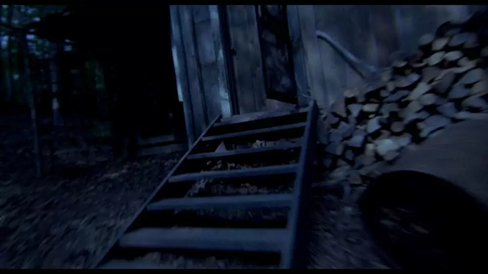 死霊のはらわた IIの画像