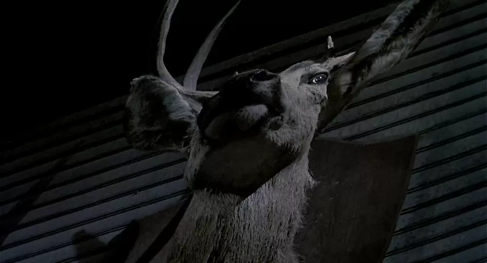 死霊のはらわた IIの画像