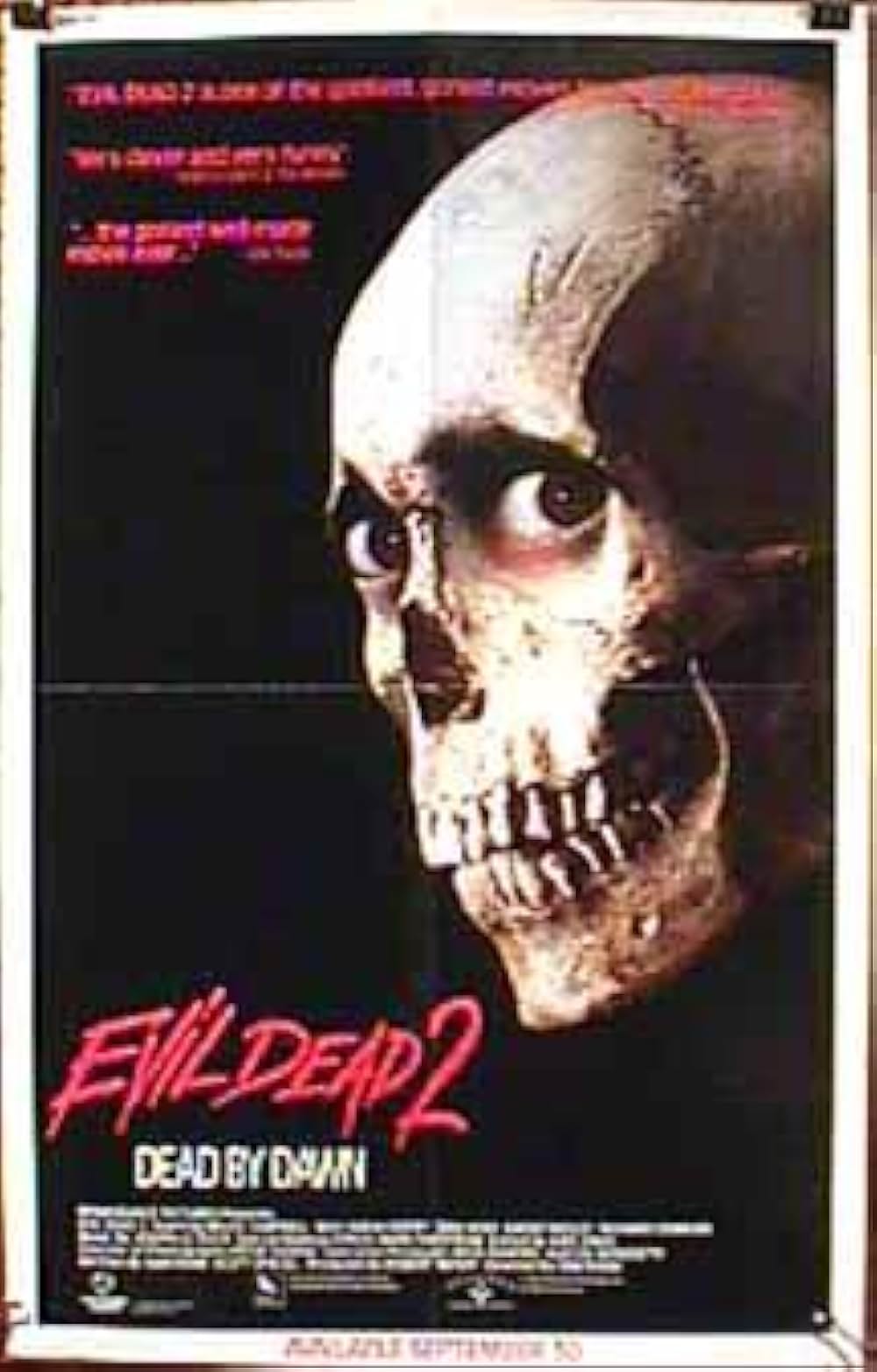 死霊のはらわた IIの画像