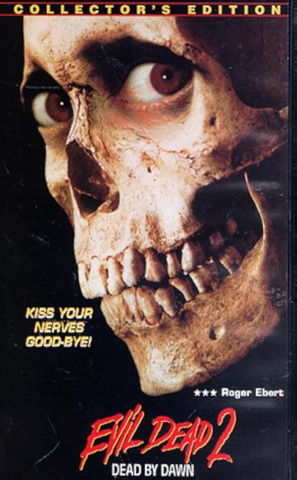 死霊のはらわた IIの画像