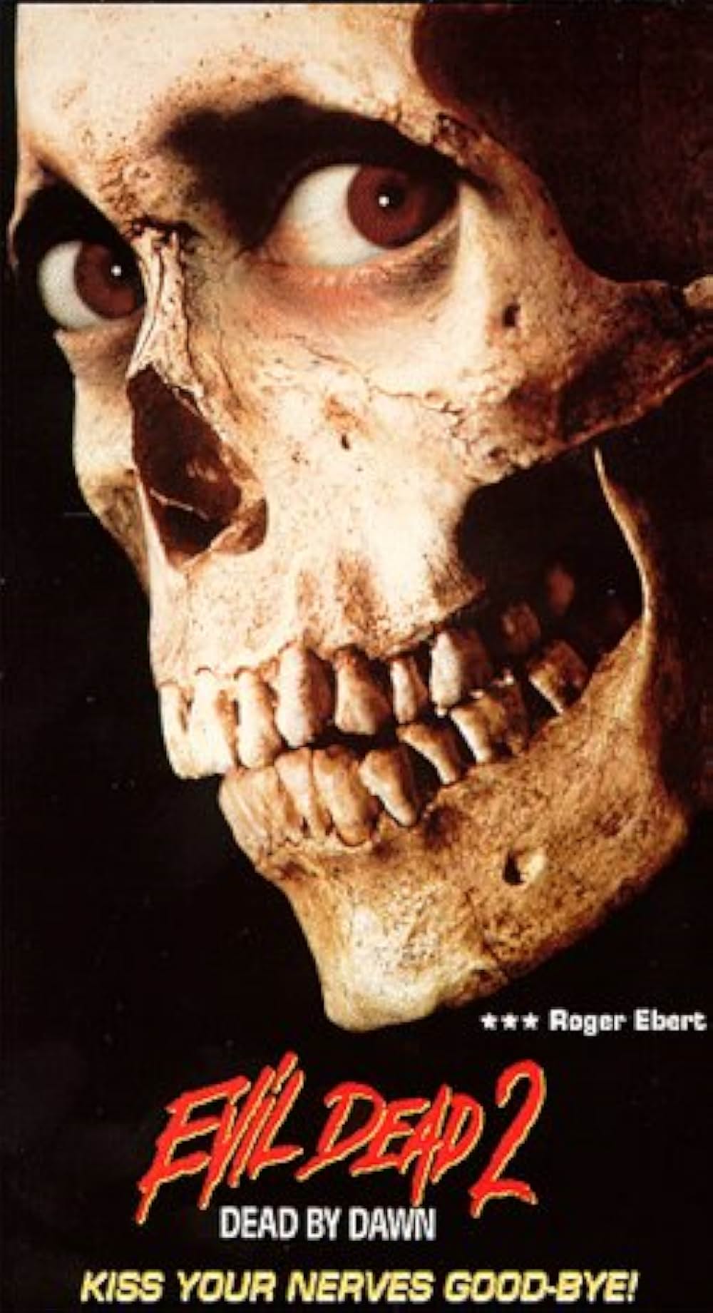 死霊のはらわた IIの画像