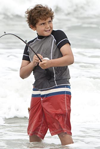 セイフ ヘイヴンの画像