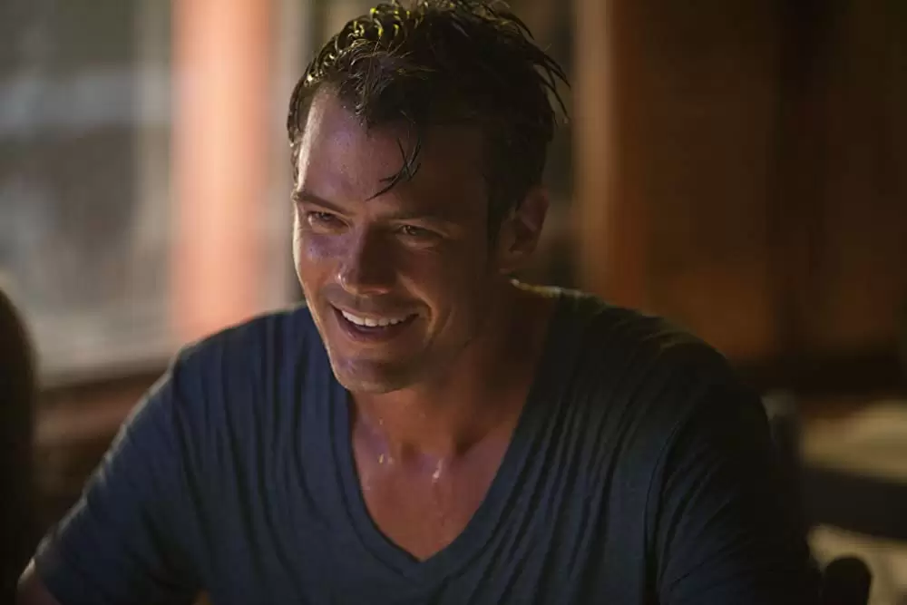 セイフ ヘイヴンの画像