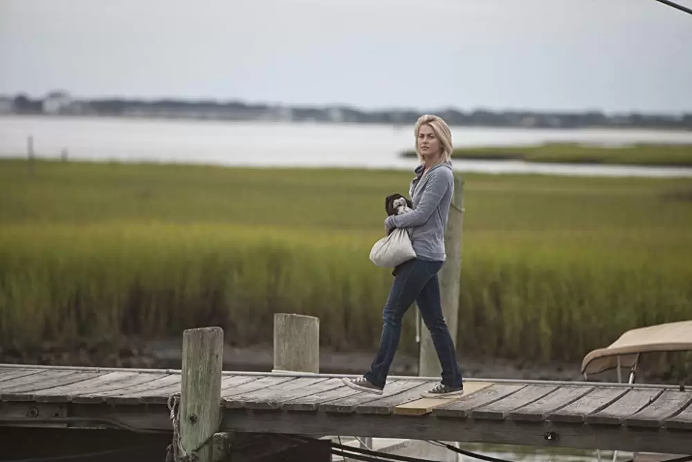 セイフ ヘイヴンの画像