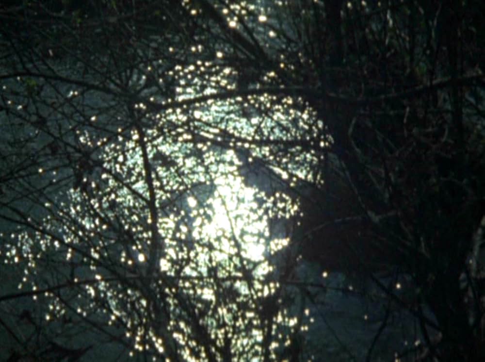 Water Wrackets（原題）の画像