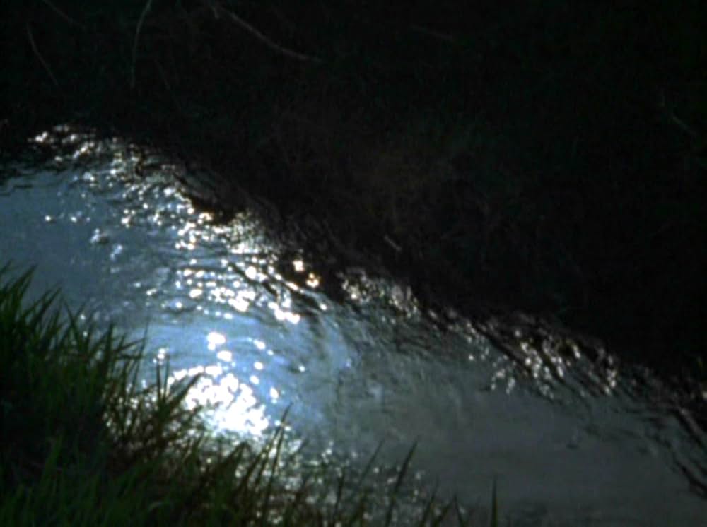 Water Wrackets（原題）の画像