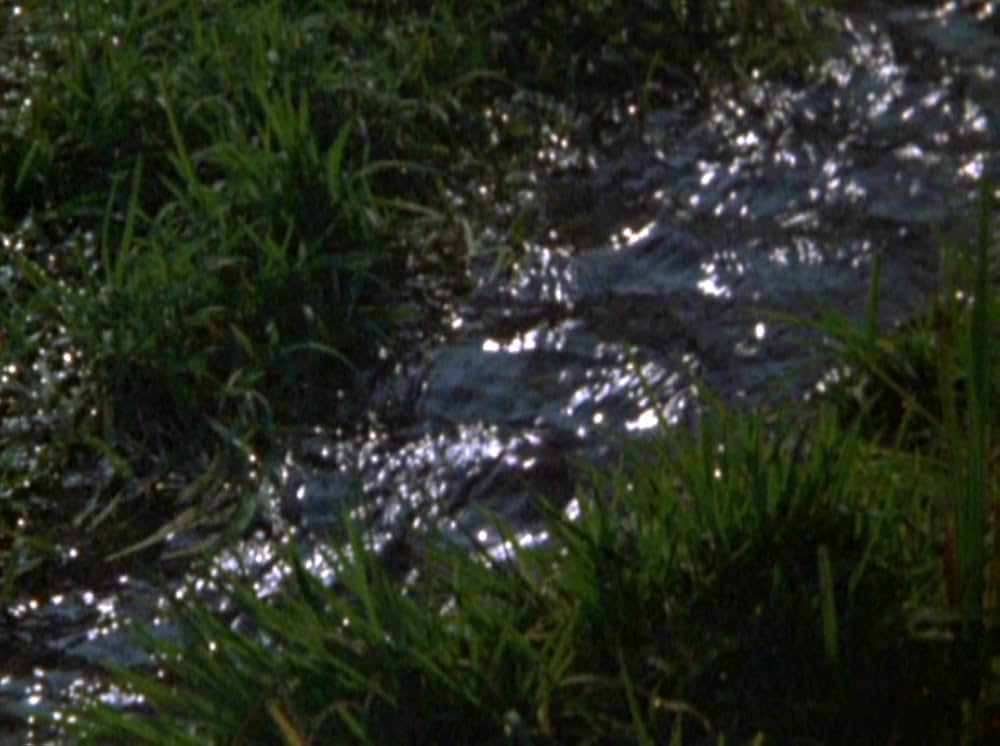 Water Wrackets（原題）の画像