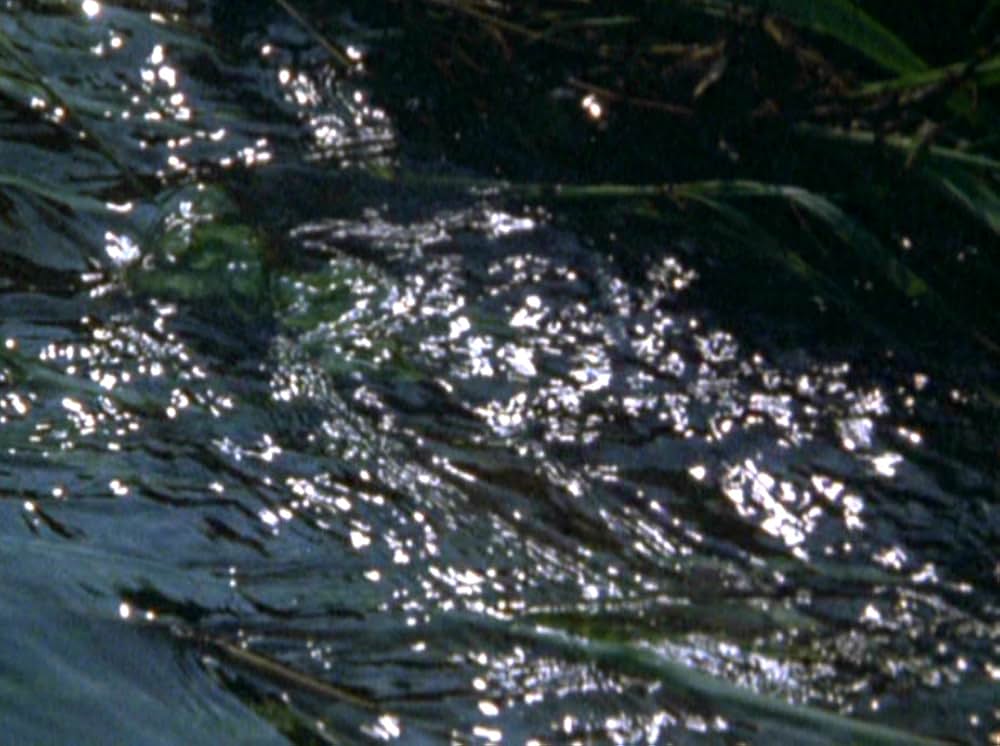 Water Wrackets（原題）の画像