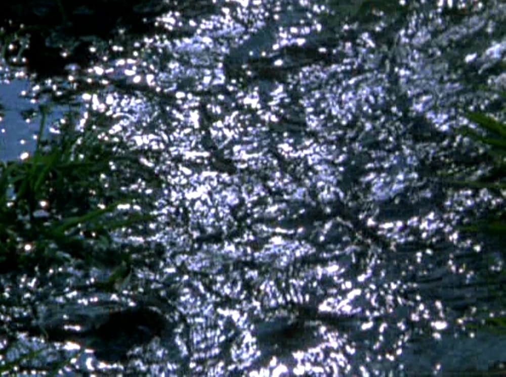 Water Wrackets（原題）の画像