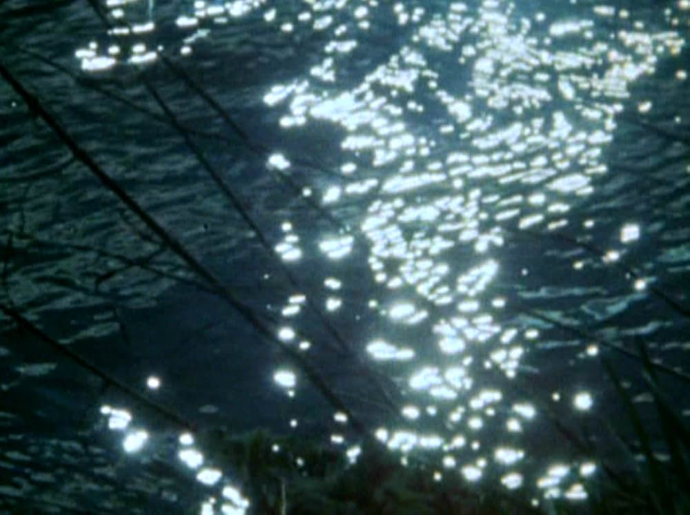 「Water Wrackets（原題）」の画像