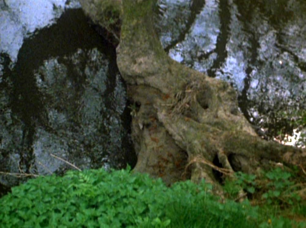 Water Wrackets（原題）の画像