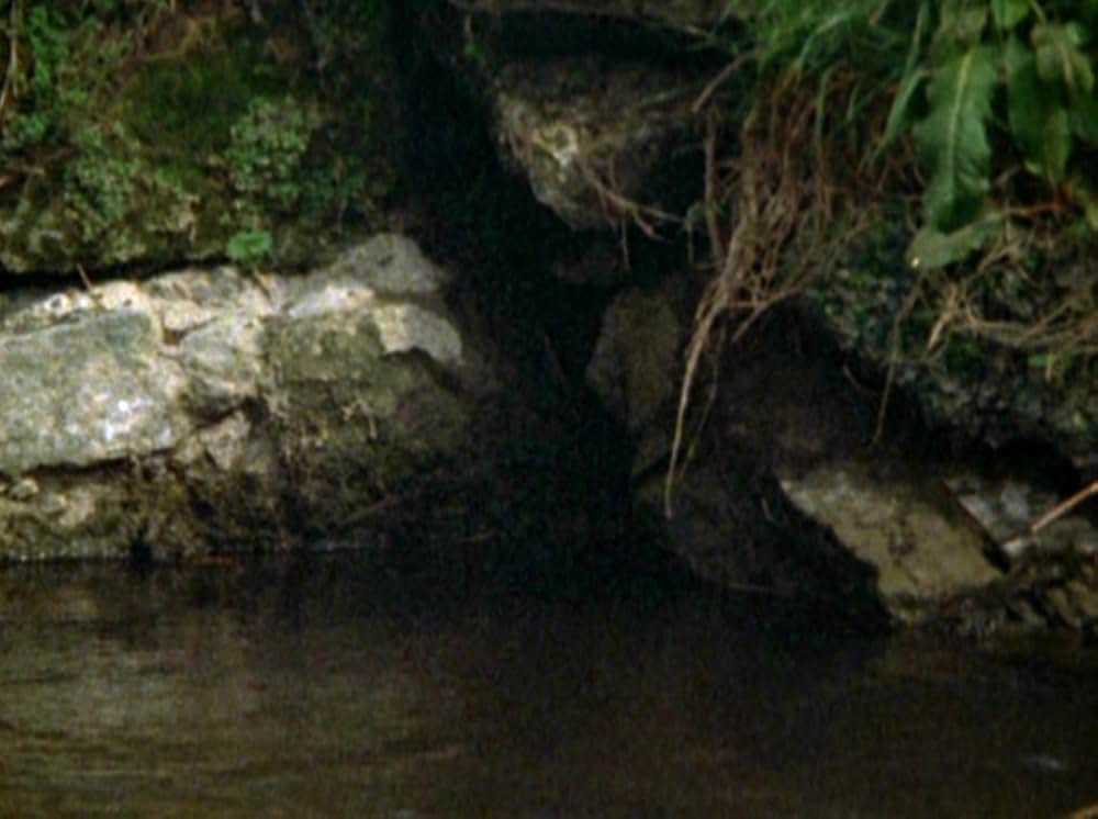 Water Wrackets（原題）の画像