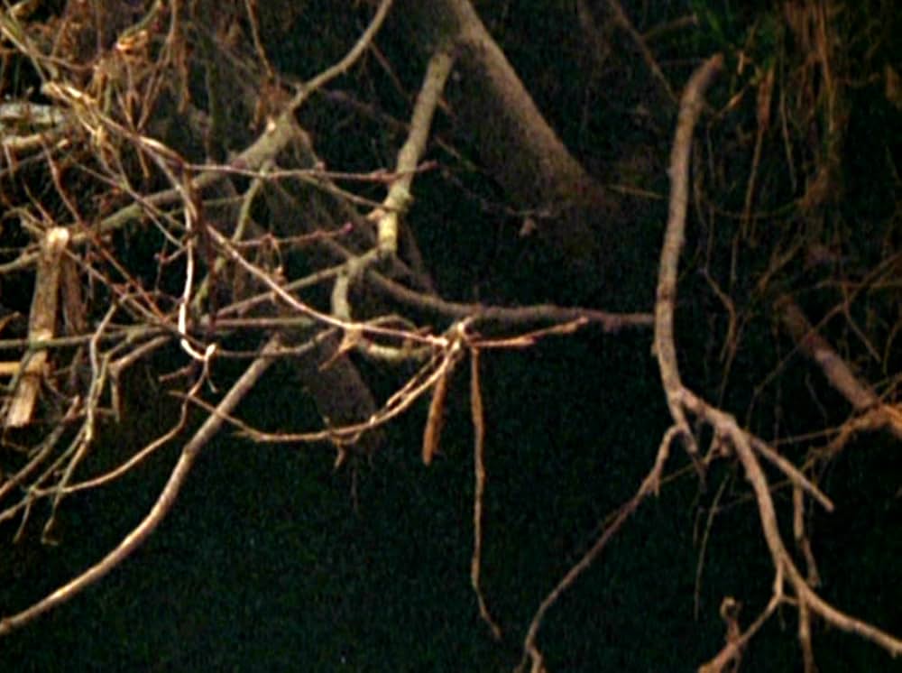 Water Wrackets（原題）の画像