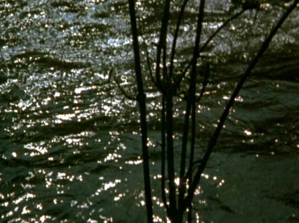 Water Wrackets（原題）の画像