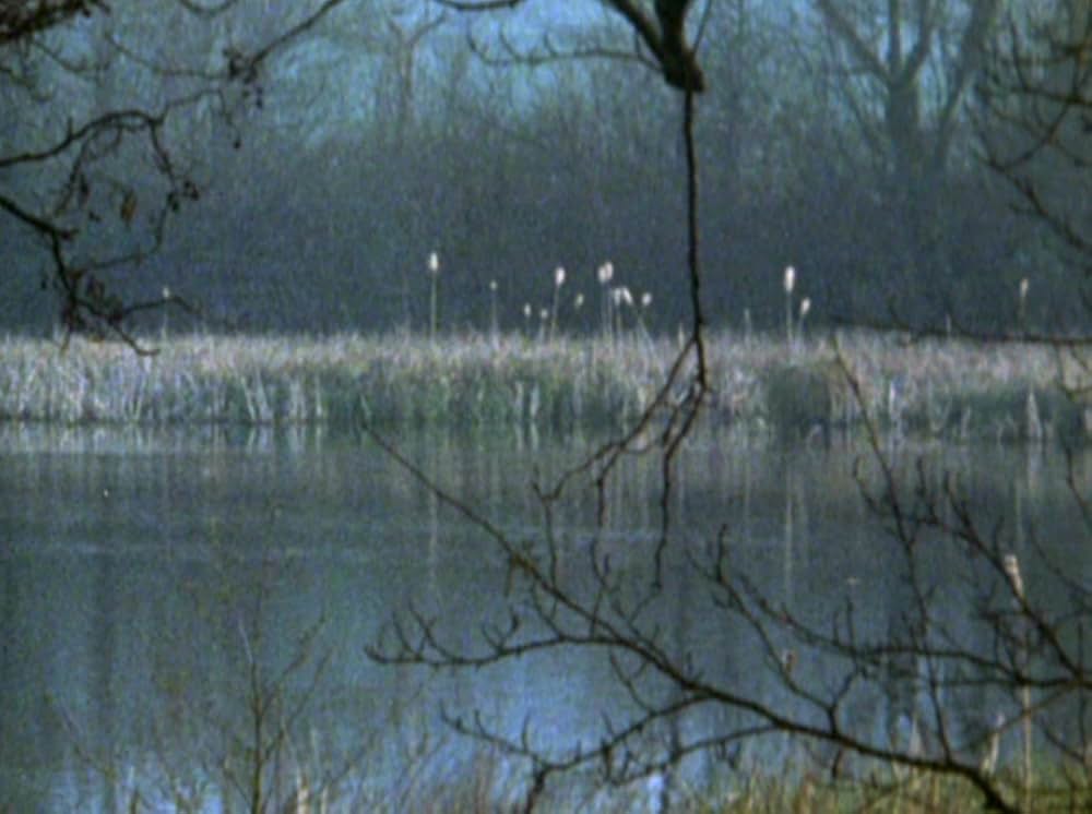 Water Wrackets（原題）の画像