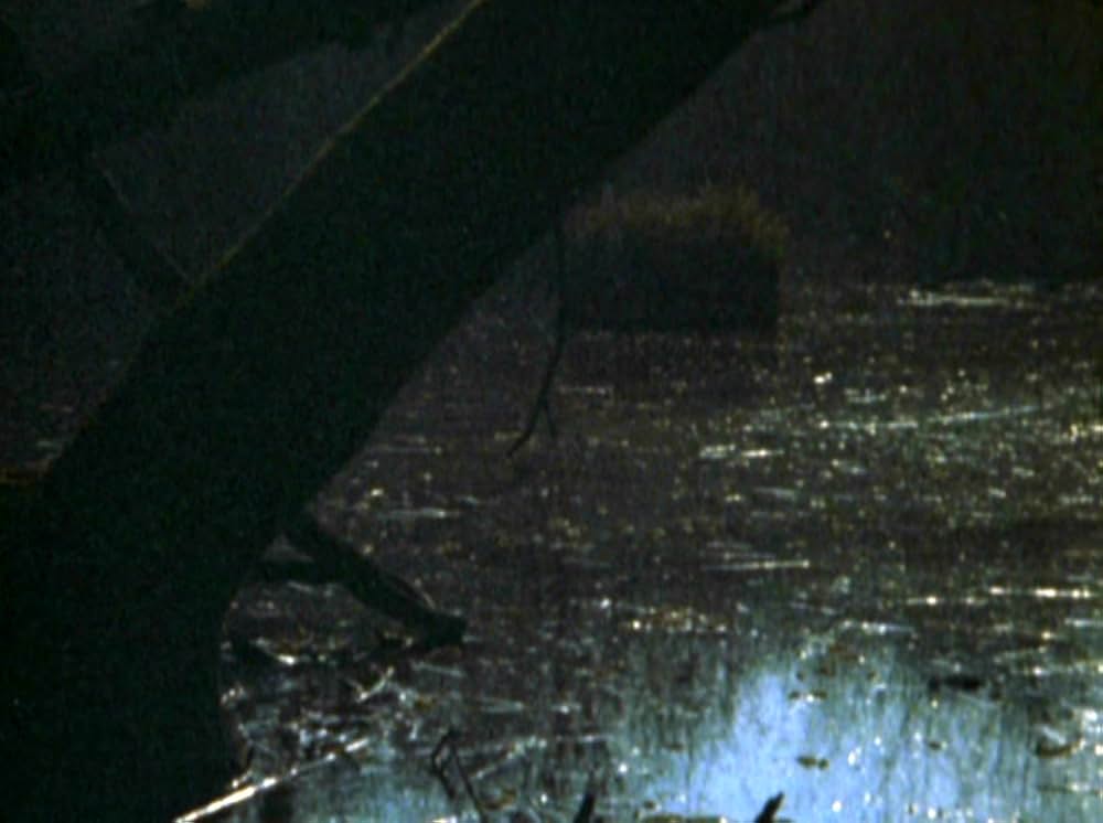 Water Wrackets（原題）の画像