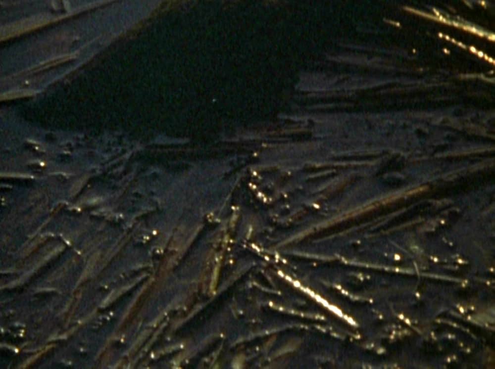 Water Wrackets（原題）の画像