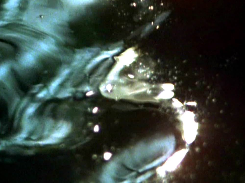 Water Wrackets（原題）の画像