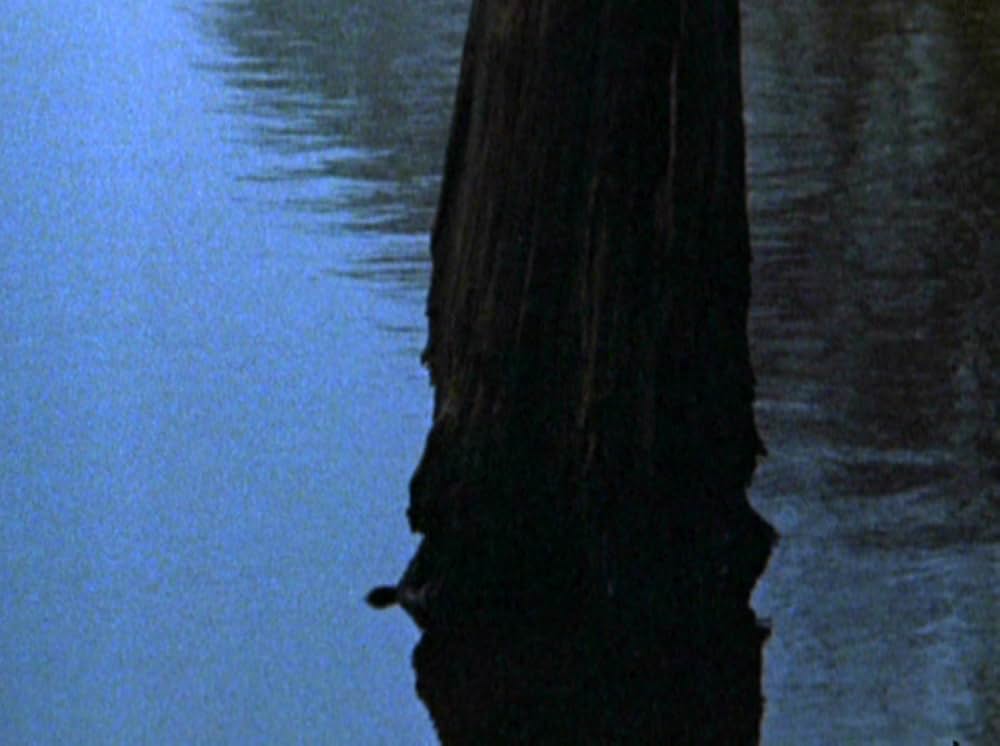 Water Wrackets（原題）の画像