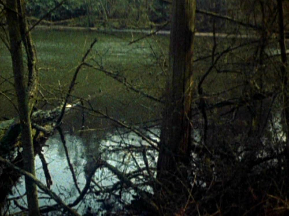 Water Wrackets（原題）の画像