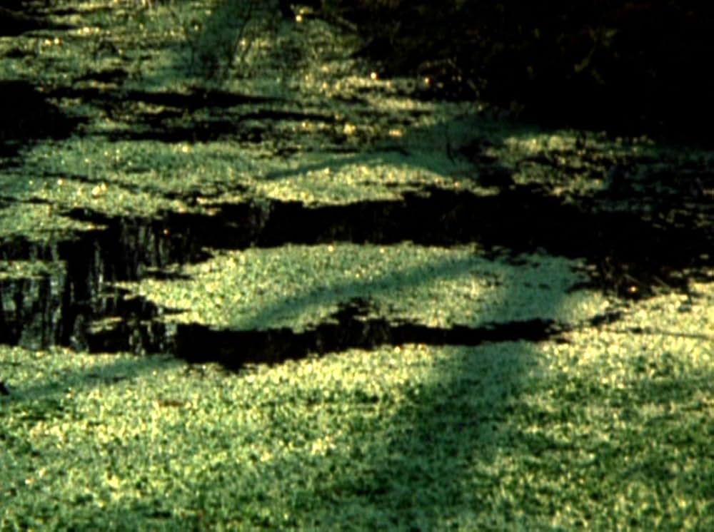 Water Wrackets（原題）の画像