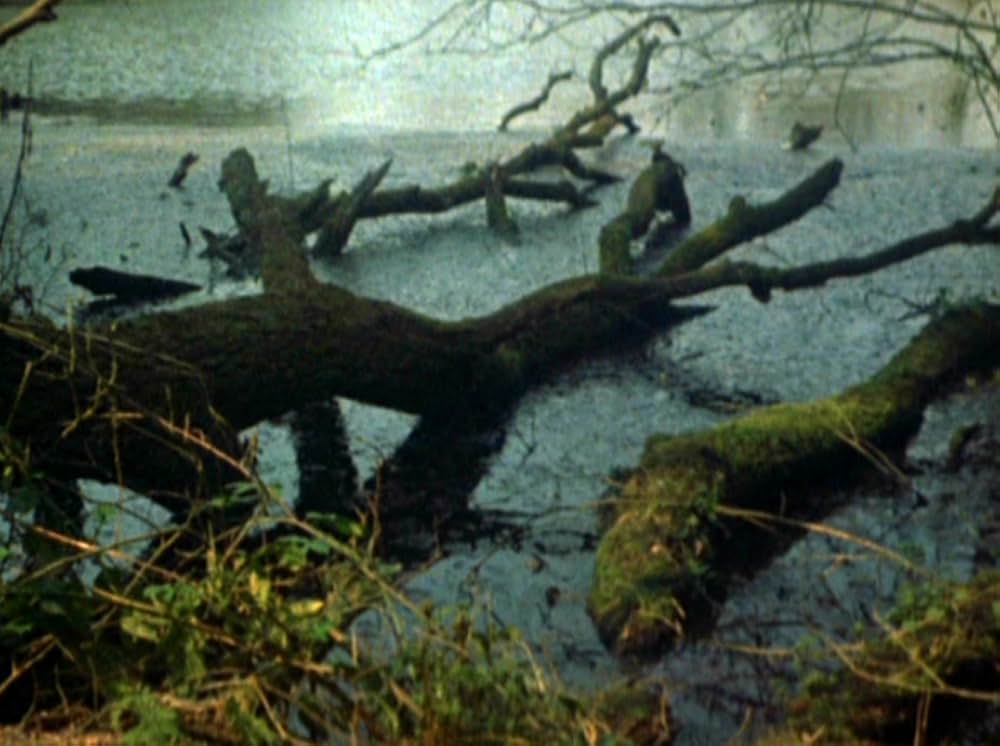 Water Wrackets（原題）の画像