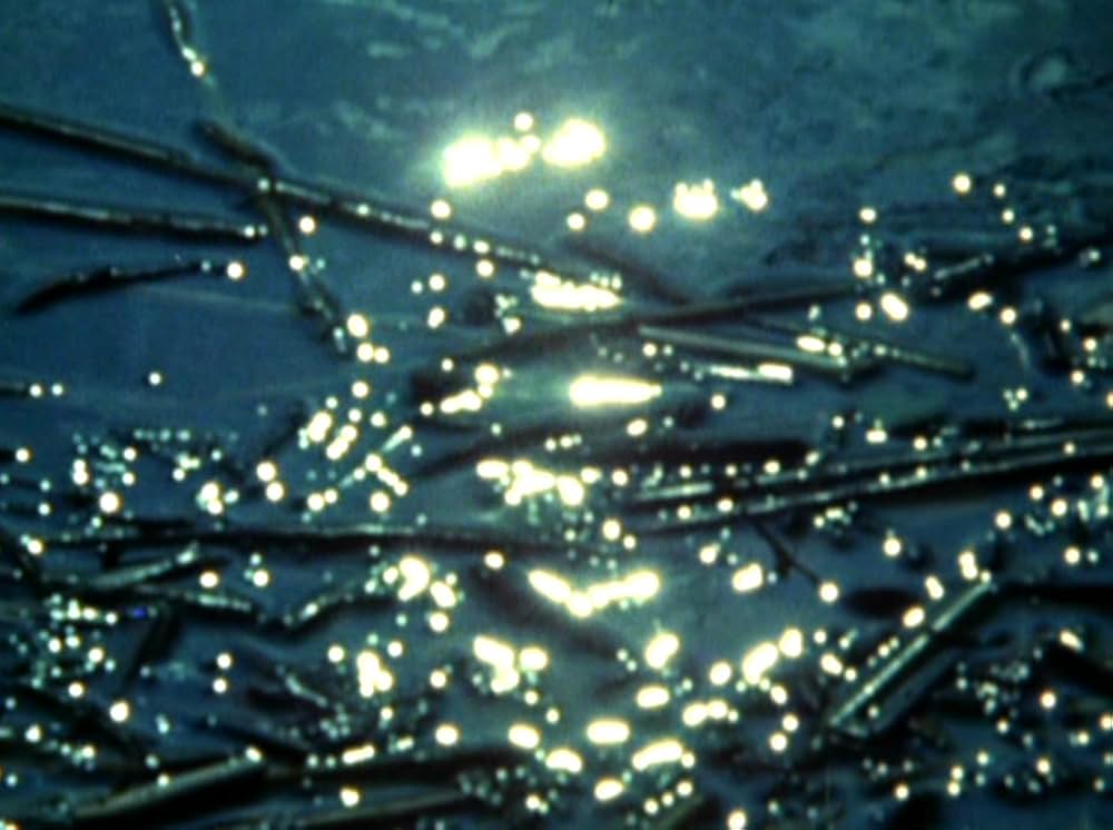 「Water Wrackets（原題）」の画像