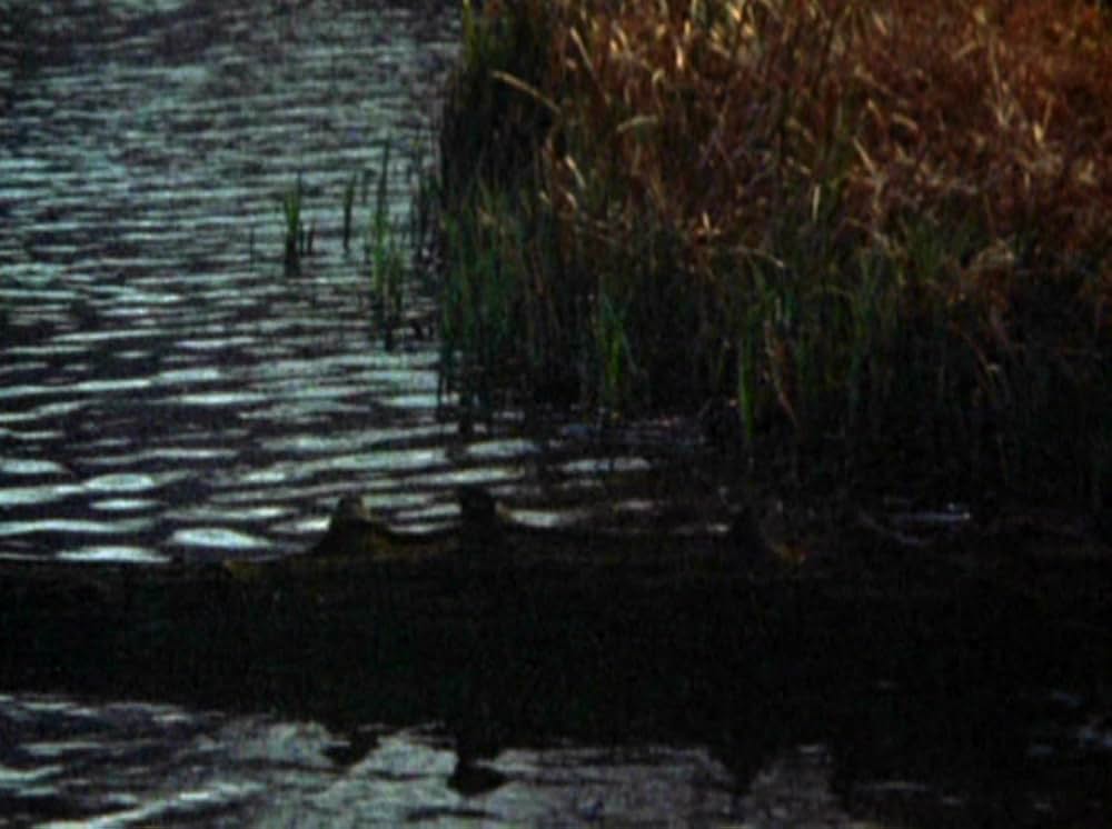 Water Wrackets（原題）の画像