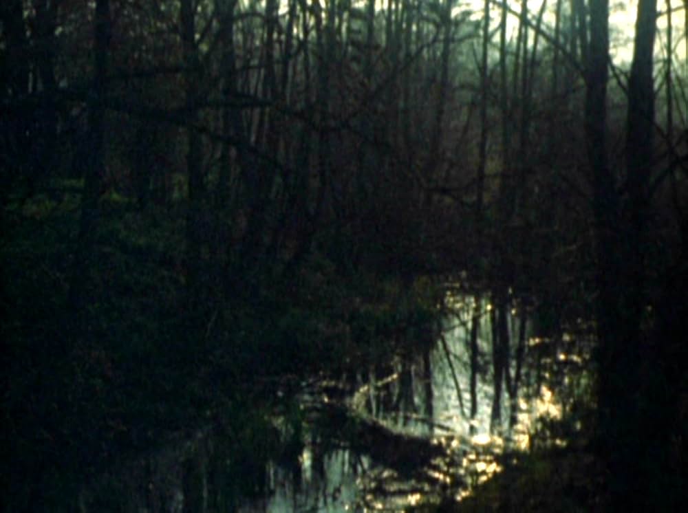 Water Wrackets（原題）の画像