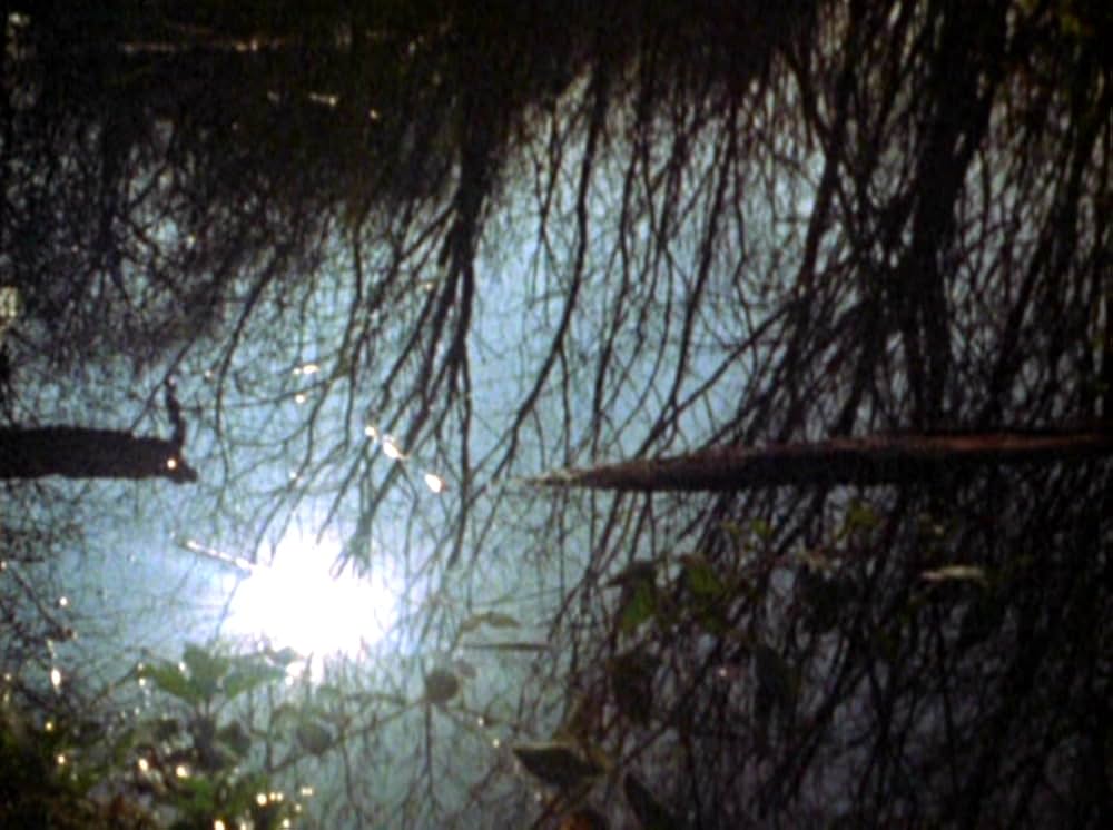 Water Wrackets（原題）の画像