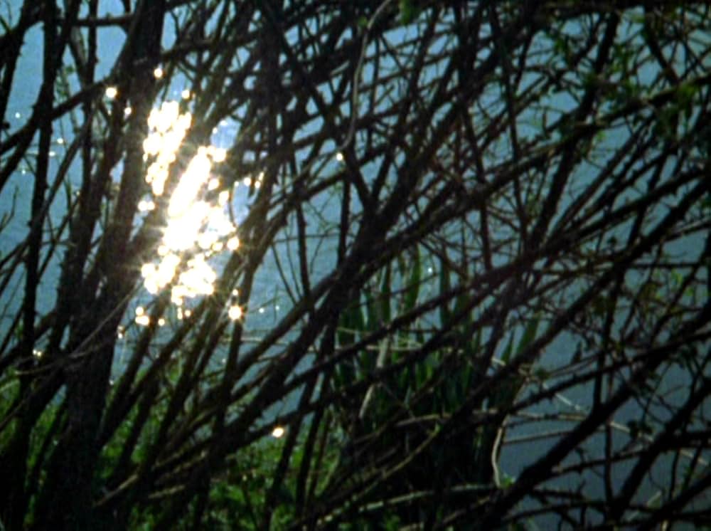 Water Wrackets（原題）の画像