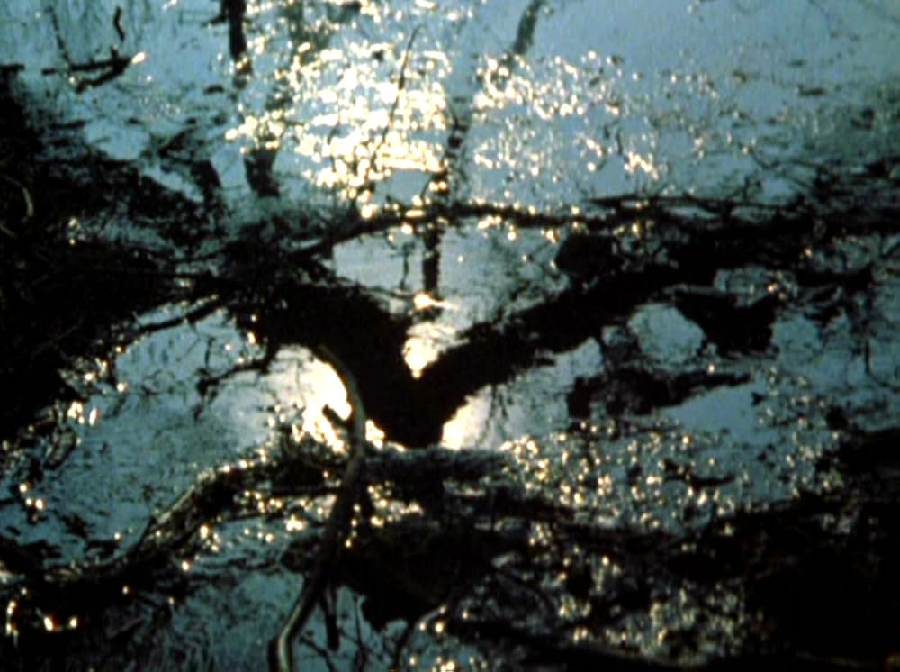 Water Wrackets（原題）の画像