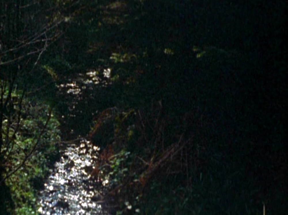 Water Wrackets（原題）の画像