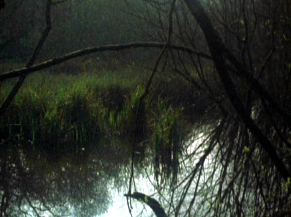 Water Wrackets（原題）の画像