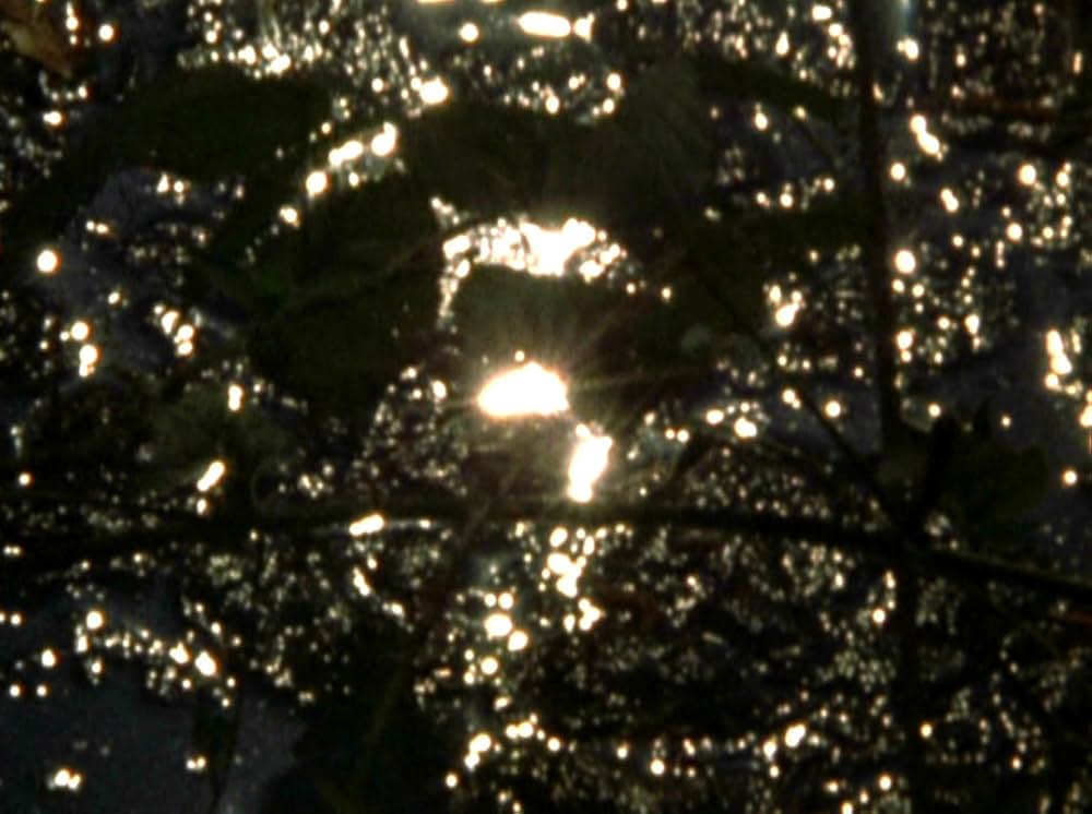 Water Wrackets（原題）の画像