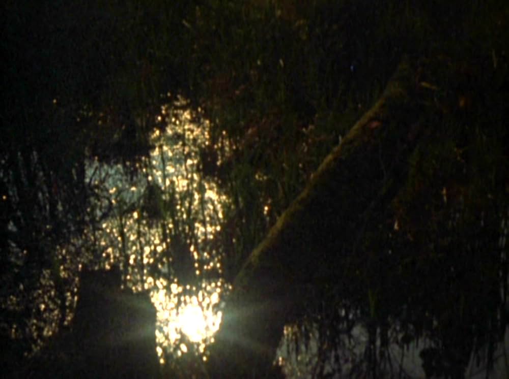 Water Wrackets（原題）の画像