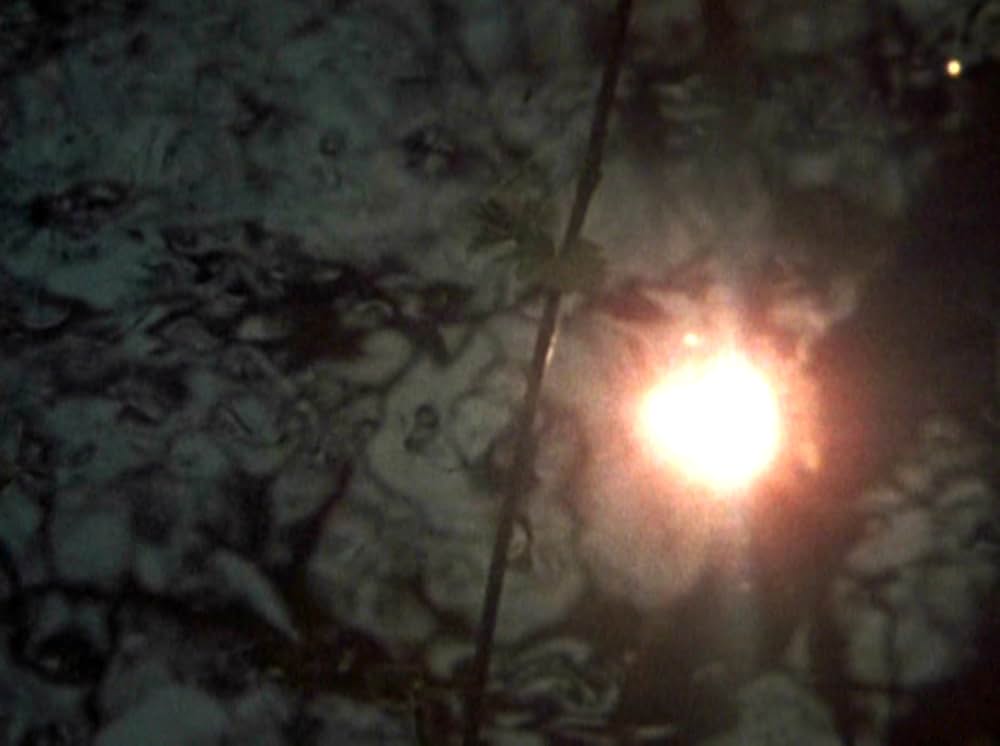 Water Wrackets（原題）の画像