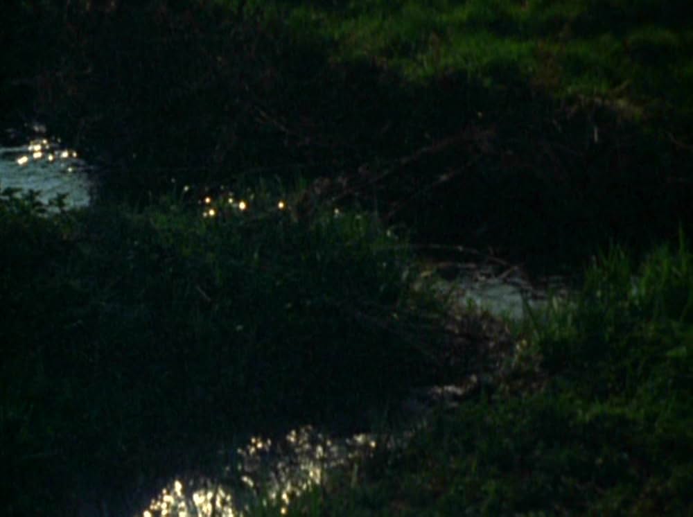 Water Wrackets（原題）の画像