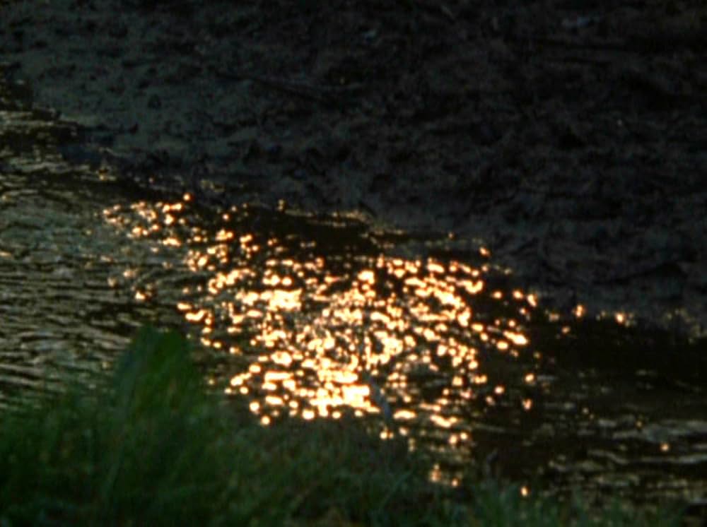 Water Wrackets（原題）の画像