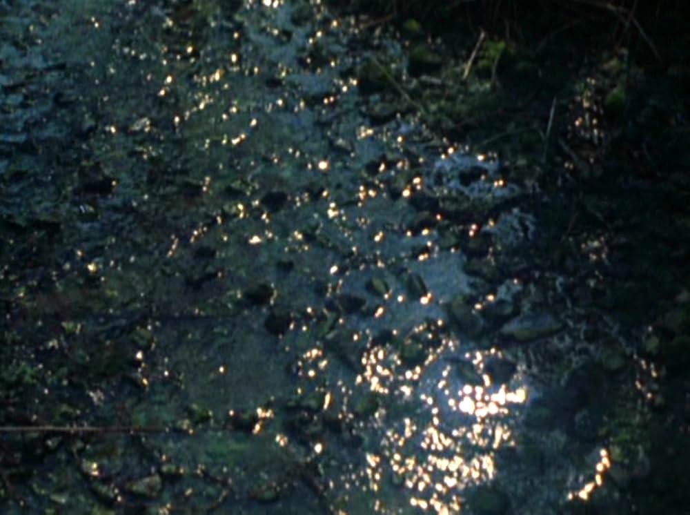 Water Wrackets（原題）の画像