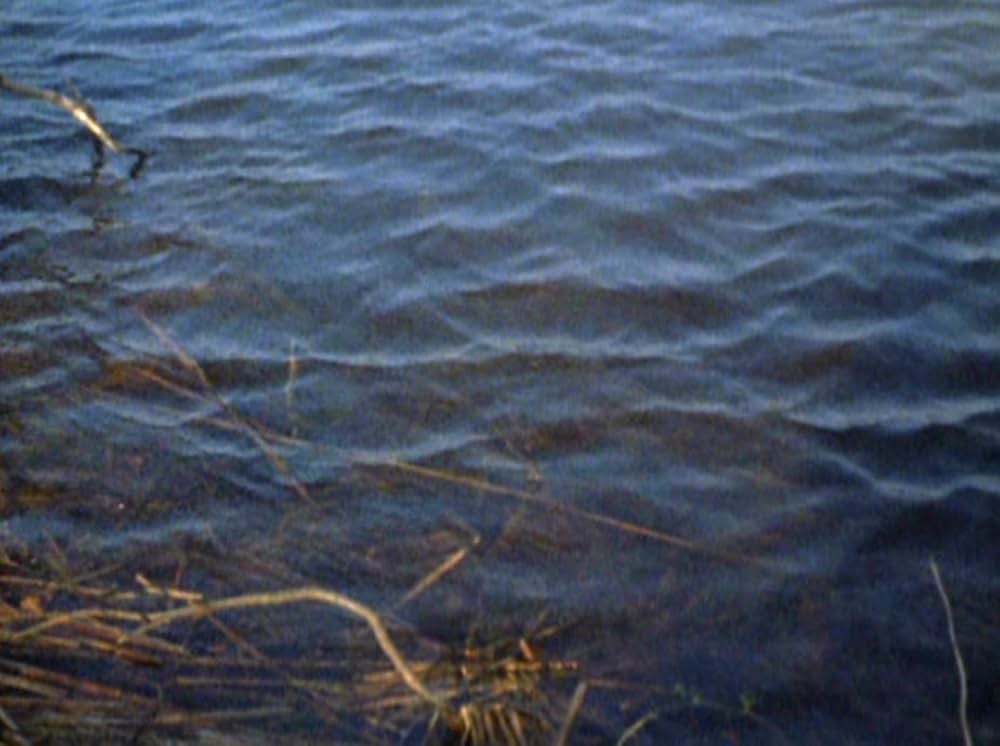 「Water Wrackets（原題）」の画像