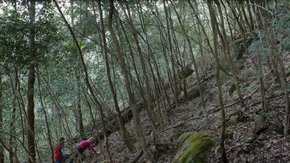 The Boyfriend Game（原題）の画像